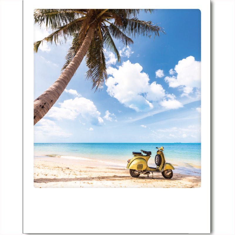 Bon Voyage - Catch Utrecht