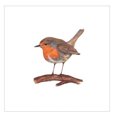 Days of Bloom - Catch Utrecht