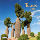 Trees - Jaarkalender 2027 – voorkant, 30 × 30 cm