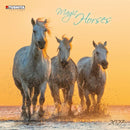 Magic Horses - Jaarkalender 2027 – voorkant, 30 × 30 cm