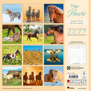 Magic Horses - Jaarkalender 2027 – achterkant met overzicht van alle afbeeldingen, 30 × 30 cm