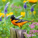 Birds - Jaarkalender 2027 – voorkant, 30 × 30 cm