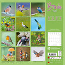 Birds - Jaarkalender 2027 – achterkant met overzicht van alle afbeeldingen, 30 × 30 cm