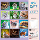 Cool Cats - Jaarkalender 2027 – achterkant met overzicht van alle afbeeldingen, 30 × 30 cm
