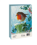 Robin in the winter, Brian Rushton - Catch Utrecht