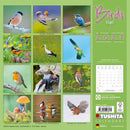 Birds - Jaarkalender 2027 - Catch Utrecht