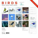Birds - Maandkalender 2027 - Catch Utrecht