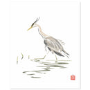 Blauwe reiger - Catch Utrecht