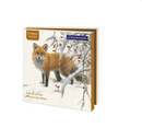 Dieren in de Winter, Elwin van der Kolk, Natuurmonumenten (incl. sluitstickers) - Catch Utrecht
