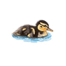 Eendje, wenskaart - Catch Utrecht