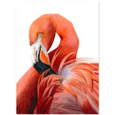 Flamingo (originele tekening) - Catch Utrecht