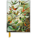 Haeckel / Hummingbirds - Notebook (A6) - Catch Utrecht