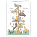 Happy Birthday - Katten - Catch Utrecht