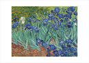 Irissen - Vincent van Gogh - Poster - Catch Utrecht