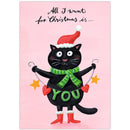 Kerst kat - Catch Utrecht