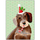 Kersthond - Catch Utrecht