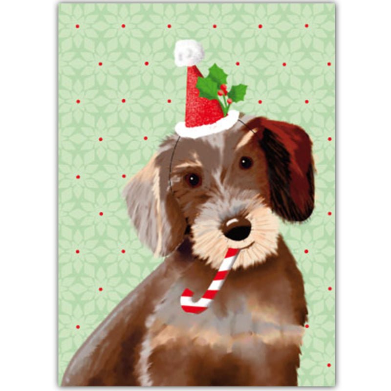 Kersthond - Catch Utrecht