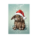 Konijn in sneeuw - Catch Utrecht