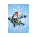 Merry Christmas - Vogel - Catch Utrecht