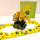 Narcissen - Pop - Up kaart - Catch Utrecht