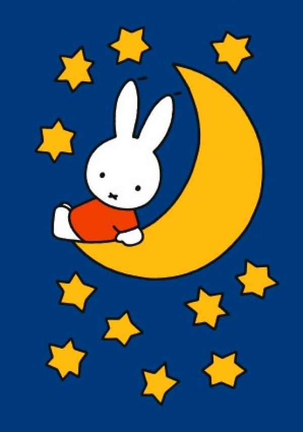 Nijntje op de maan