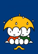 Nijntjes in de regen - Catch Utrecht