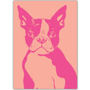 Franse bulldog, hondenkaart van Djune