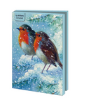 Robin in the winter, Brian Rushton (incl. sluitstickers) - Catch Utrecht