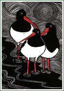 Scholeksters, Octavie Wolters - Catch Utrecht