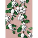 Sneeuwbes - Catch Utrecht