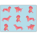 Teckels - Catch Utrecht