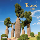 Trees - Jaarkalender 2027 - Catch Utrecht
