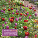 Tuinen - Gardens, Modeste Herwig - Maandkalender 2027 - Catch Utrecht