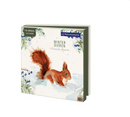 Winter Dieren, Michelle Dujardin, Natuurmonumenten (incl. sluitstickers) - Catch Utrecht