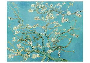 Amandelbloesem - Vincent van Gogh postkaart - Catch Utrecht