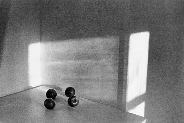 Apples on Table - Catch Utrecht