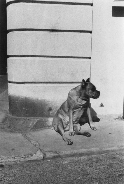 Arles - Catch Utrecht