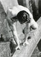 Benno Climbing - Catch Utrecht