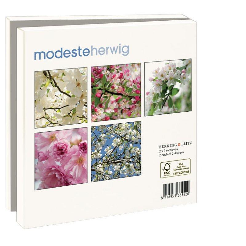 Bloesem, Modeste Herwig - Catch Utrecht