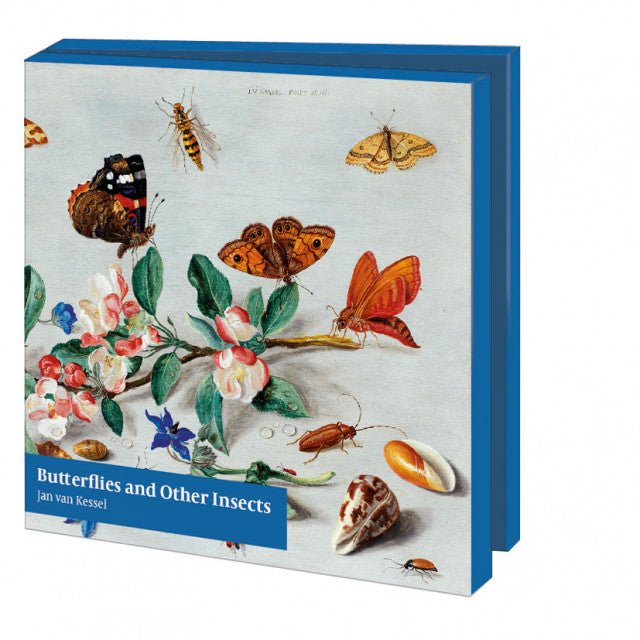 Butterflies and Other Insects, The Fitzwilliam Museum - Catch Utrecht