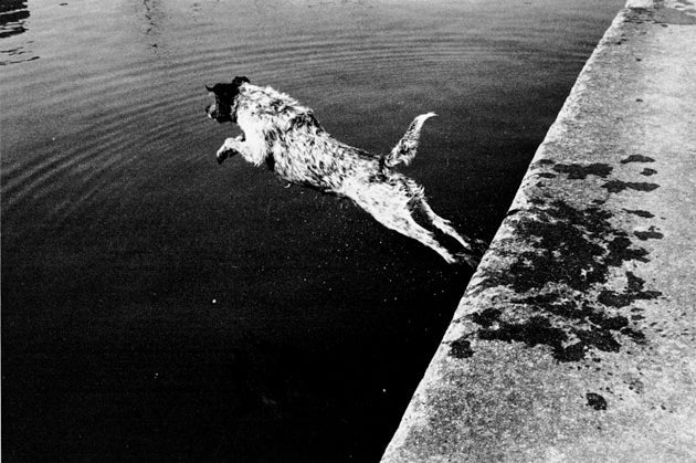 Canal Saint-Martin 3 - Catch Utrecht