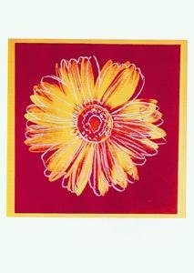 Daisy, Red/Yellow - Catch Utrecht