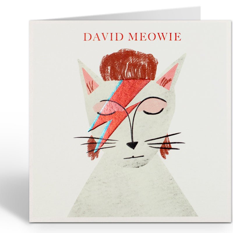 David Meowie (David Bowie) - Catch Utrecht