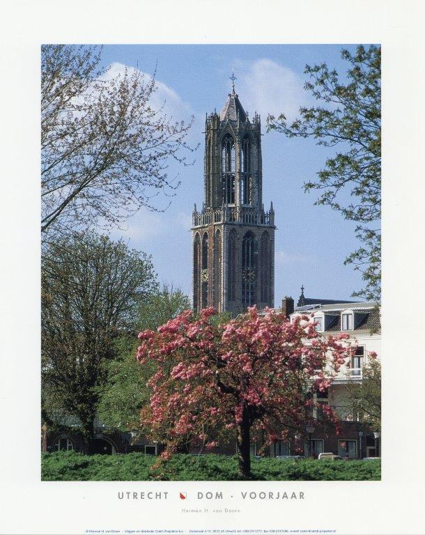 Dom voorjaar - Catch Utrecht