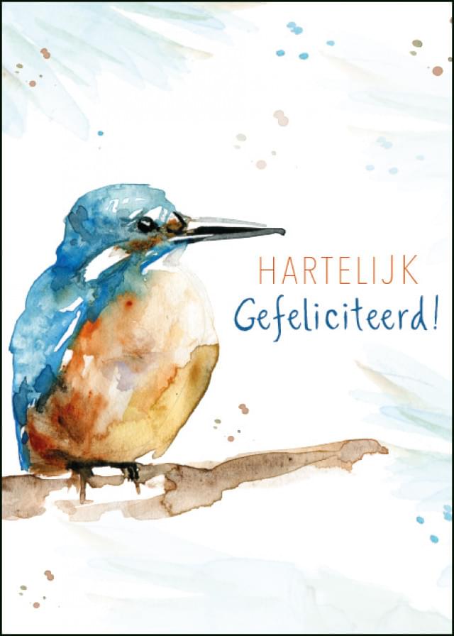 Hartelijk gefeliciteerd! (ijsvogel), Michelle Dujardin - Catch Utrecht