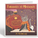 J.K. Meowling (Harry Potter) - Catch Utrecht