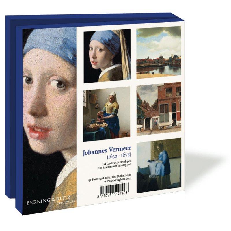 Johannes Vermeer, Collection Mauritshuis - Catch Utrecht