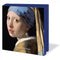 Johannes Vermeer, Collection Mauritshuis - Catch Utrecht