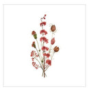 Lovely pink, wenskaart - Catch Utrecht