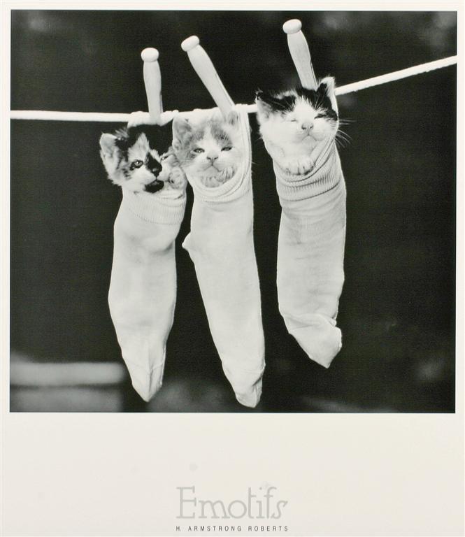 Pin-Ups - Catch Utrecht